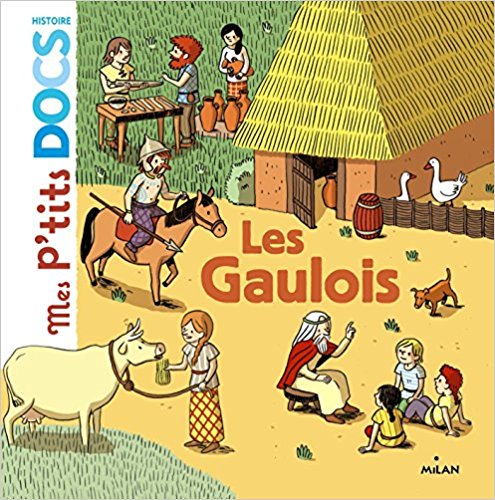 Les Gaulois Broché 