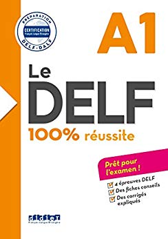 LE DELF - 100% REUSSITE - A1  - LIVRE + CD                                                          