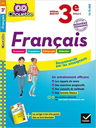Français 3e Spécial brevet: cahier d'entraînement et de révision 