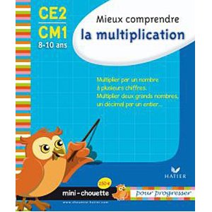 Mini chouette mieux comprendre la multiplication CE2/CM1 8-10 ans
