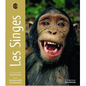 PORTRAITS D'ANIMAUX-LES SINGES 