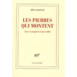 LES PIERRES QUI MONTENT (NOTES ET CROQUIS DE L'ANNEE 2008)                                           
