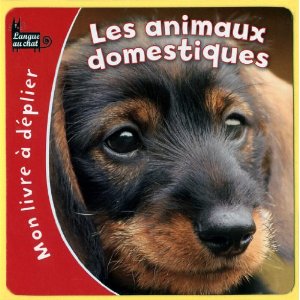 Les animaux domestiques