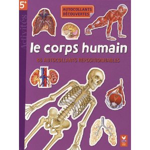 Le corps humain