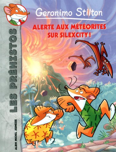  ALERTE AUX METEORITES SUR SILEXCITY  N 2                                                           