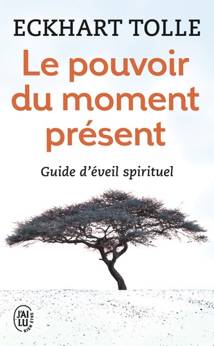 LE POUVOIR DU MOMENT PRESENT - GUIDE D'EVEIL SPIRITUEL                                              