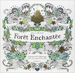 Forêt enchantée - Carnet de coloriage et Chasse au trésor antistress