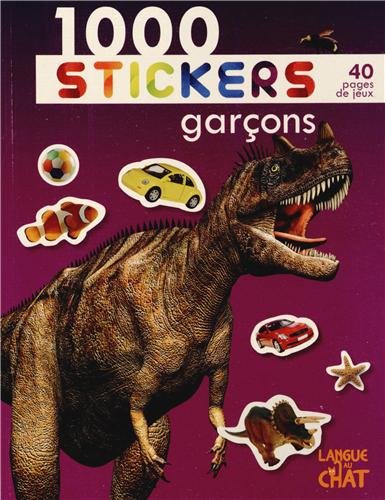 1000 stickers garçons