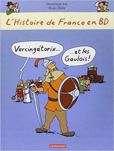 L'HISTOIRE DE FRANCE EN BD -T1- VERCINGETORIX ET LES GAULOIS