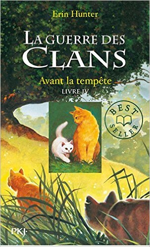 LA GUERRE DES CLANS - TOME 4 AVANT LA TEMPETE