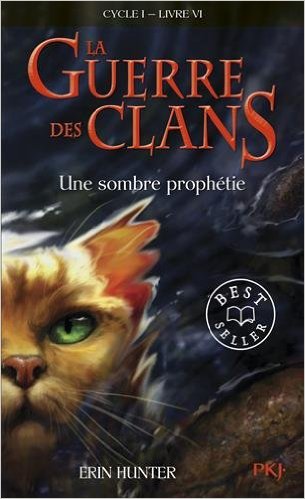 LA GUERRE DES CLANS - TOME 6 UNE SOMBRE PROPHETIE 