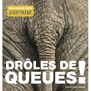 Drôles de queues