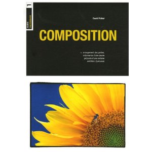 COMPOSITION                                                                                          