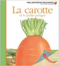 La carotte et le jardin potager